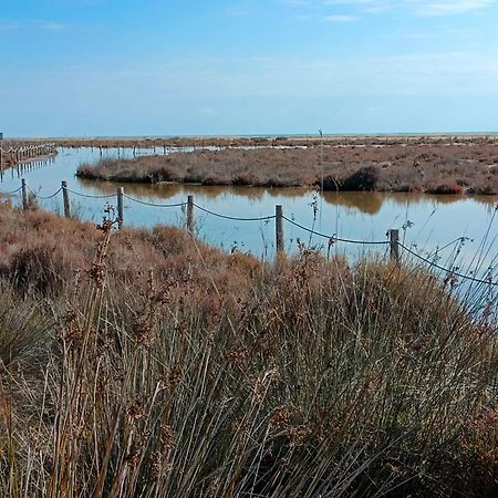 Rincon Del Delta, Apartamento En El Delta Del Ebro, Playa Trabucador Amposta, Tarragona L'Eucaliptus Zewnętrze zdjęcie