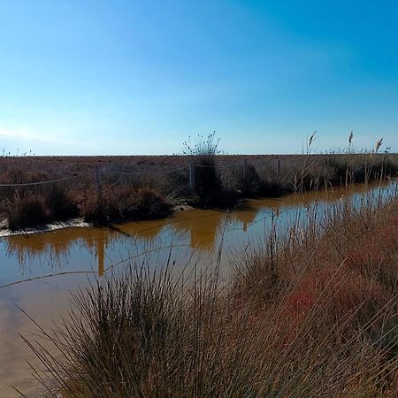 Rincon Del Delta, Apartamento En El Delta Del Ebro, Playa Trabucador Amposta, Tarragona L'Eucaliptus Zewnętrze zdjęcie