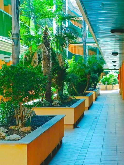 Rincon Del Delta, Apartamento En El Delta Del Ebro, Playa Trabucador Amposta, Tarragona L'Eucaliptus Zewnętrze zdjęcie