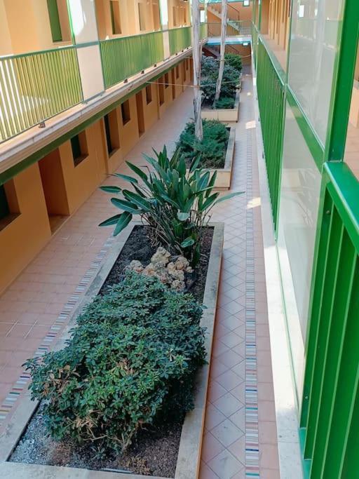 Rincon Del Delta, Apartamento En El Delta Del Ebro, Playa Trabucador Amposta, Tarragona L'Eucaliptus Zewnętrze zdjęcie