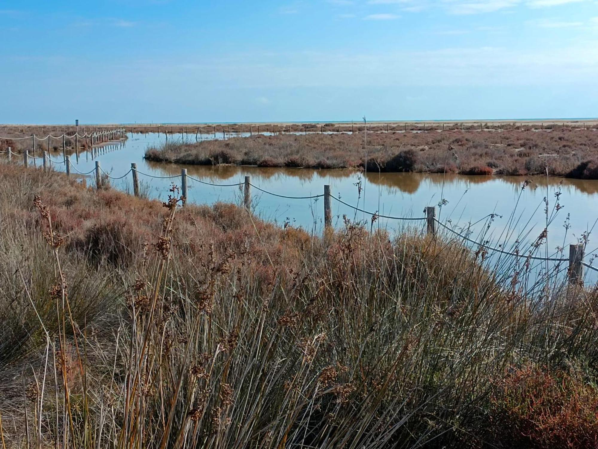 Rincon Del Delta, Apartamento En El Delta Del Ebro, Playa Trabucador Amposta, Tarragona L'Eucaliptus Zewnętrze zdjęcie