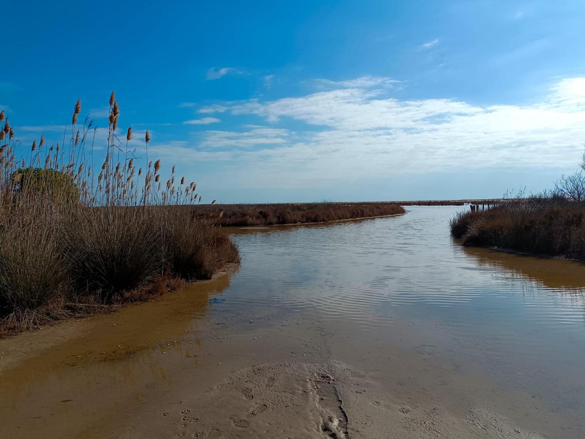 Rincon Del Delta, Apartamento En El Delta Del Ebro, Playa Trabucador Amposta, Tarragona L'Eucaliptus Zewnętrze zdjęcie