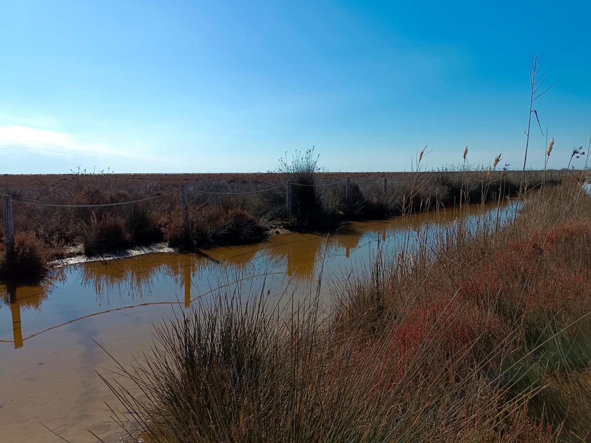 Rincon Del Delta, Apartamento En El Delta Del Ebro, Playa Trabucador Amposta, Tarragona L'Eucaliptus Zewnętrze zdjęcie